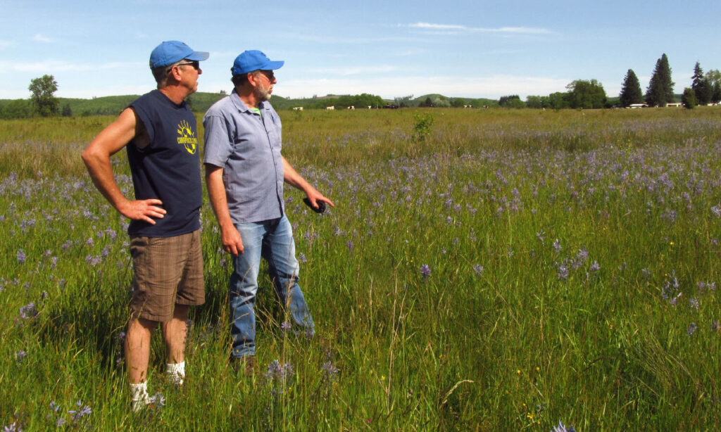 Two farmers stand in the warm summer sun assessing pasture quality.