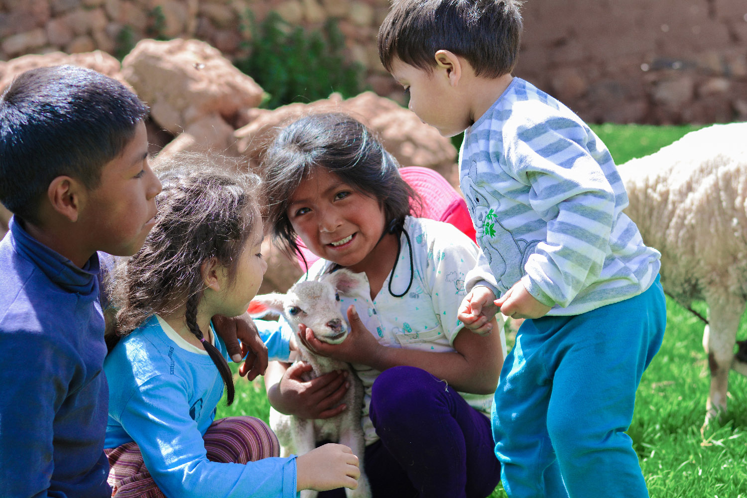 Children hold a young lamb in a grassy field.