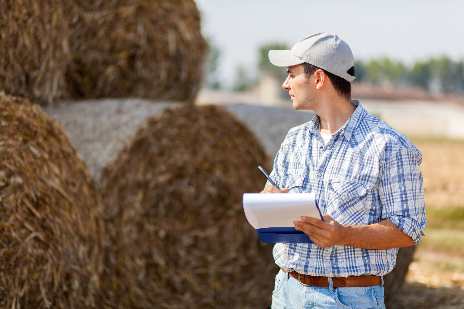 Man with clipboard looks over stacked hay round bales on a sunny day.