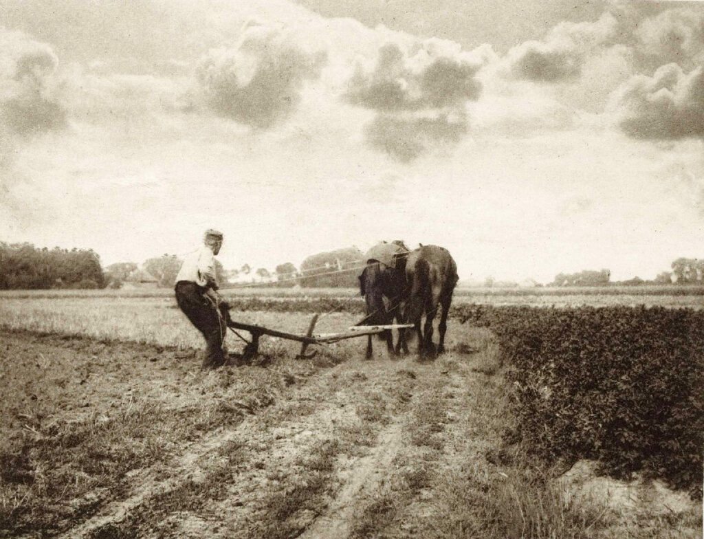 Black and white photo of man driving a plow pulled by two horses.