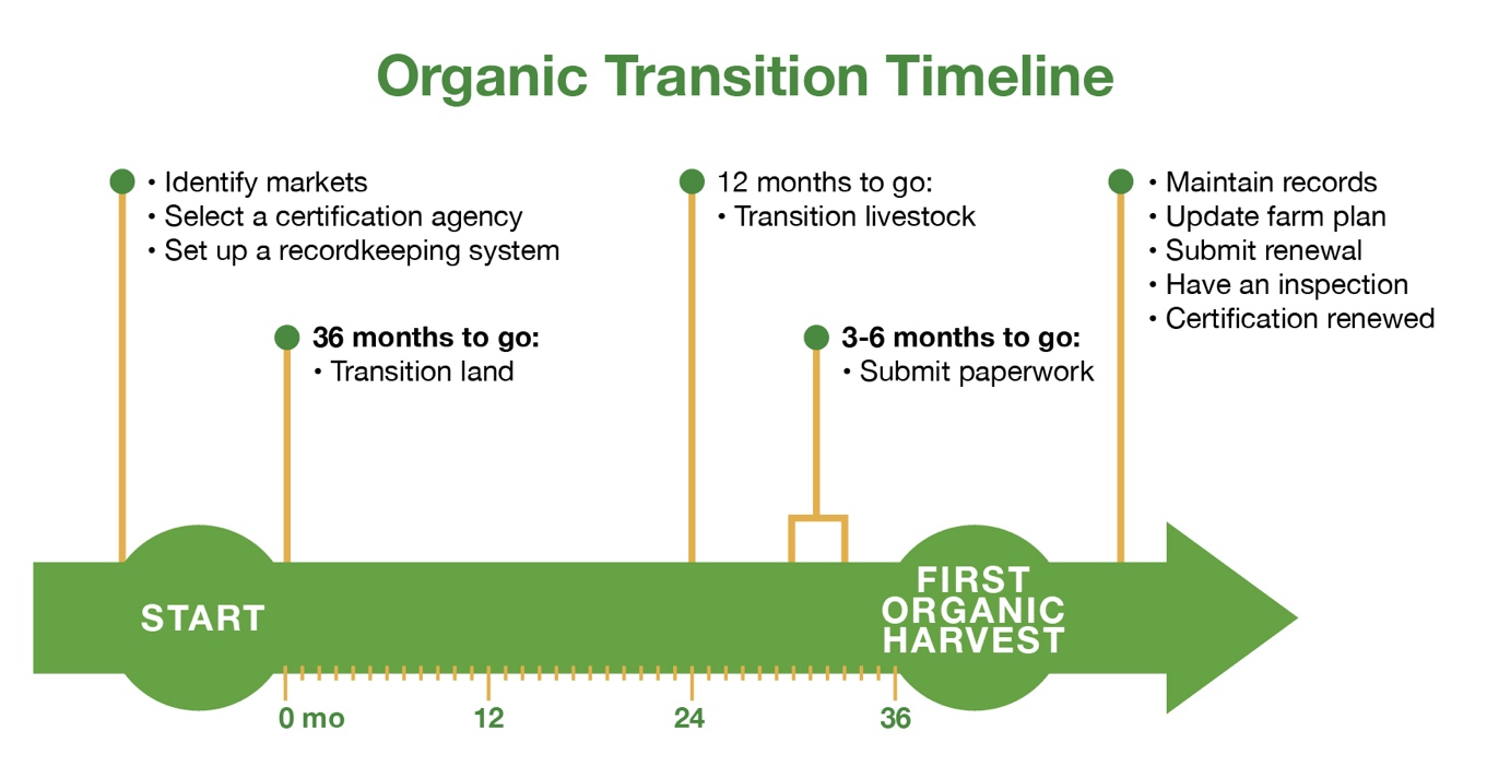 Organic Transition Timeline