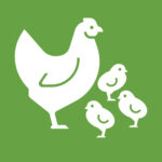 Icon of a mother hen and three chicks, symbolizing an affiliative leadership style