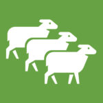Icon of three sheep, symbolizing a democratic leadership style