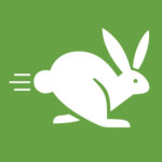 Icon of a running rabbit, symbolizing a pacesetting leadership style