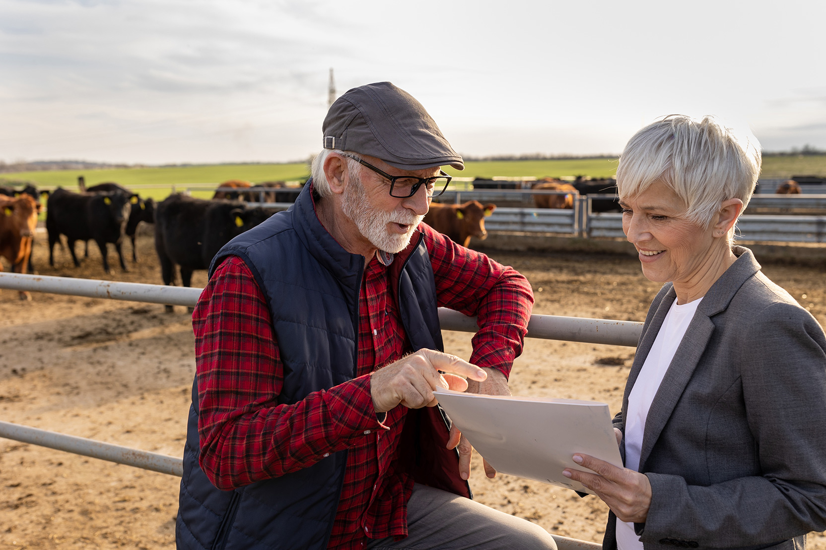 Two individuals talking in front of a fence with cows in the background