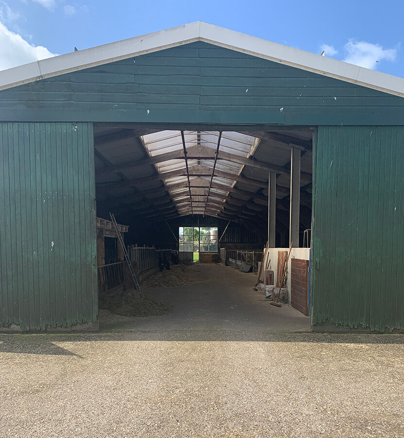 Small green dairy barn with open doors