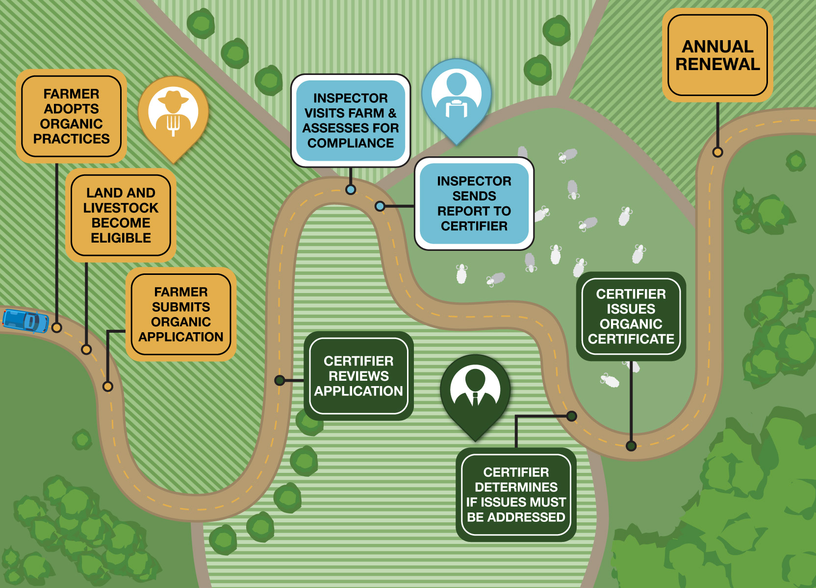 Flowchart graphic showing the steps in organic certification and annual renewal